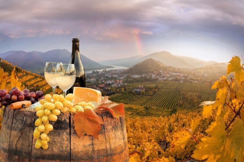 Vienna: Melk, Wachau Wine, Lower Austria Day Trip by Car - An In-Depth Look at the Lower Austria Day Trip