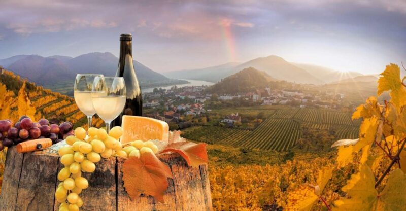 Vienna: Melk, Wachau Wine, Lower Austria Day Trip by Car - Who Should Consider This Tour?