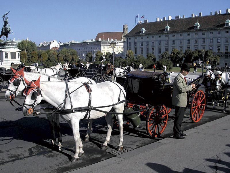 Vienna: Mozart Concert with Dinner and Carriage Ride - Final Thoughts