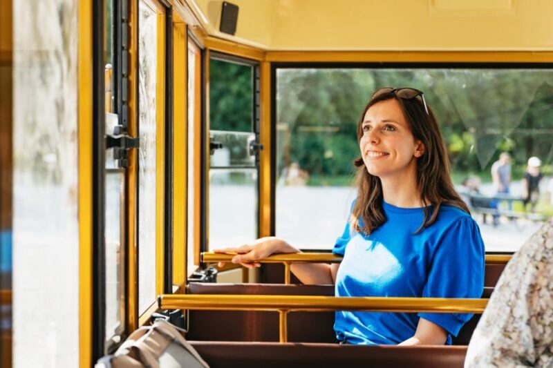 Vienna: Panorama Train Tickets to explore Schönbrunn Palace - Final Thoughts: Who Is This Tour Best For?