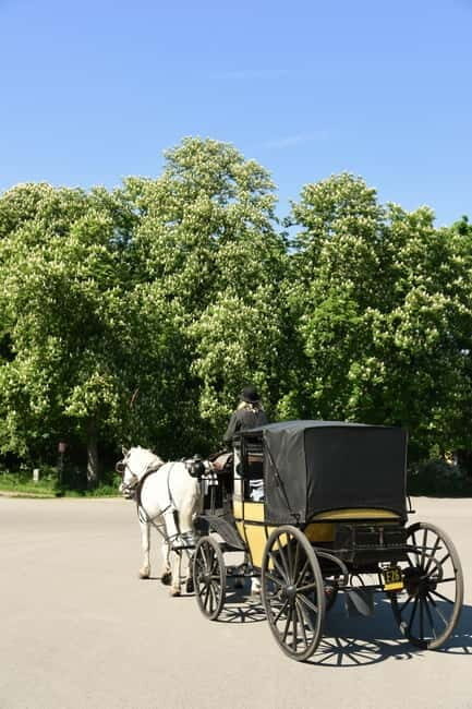 Vienna Porcelain Carriage - A discreet Prater carriage ride for adults - An Elegant and Private Ride Through Vienna’s Prater
