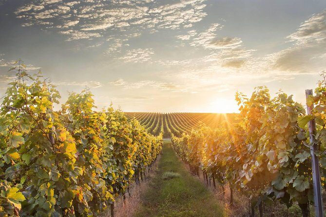 Vienna-Prague One-Way Sightseeing Tour Bus - First Stop: Zamek Lednice — A Fairy-Tale Landscape