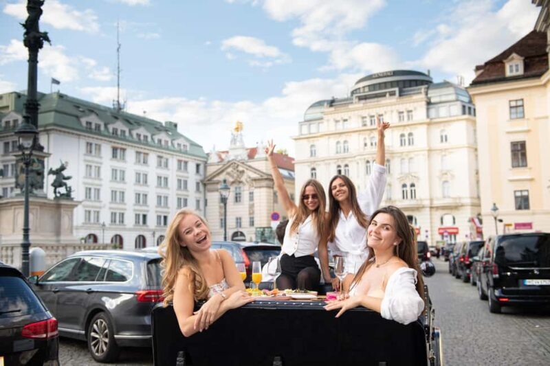 Vienna: Private City Tour and Dinner in a Vintage Car - Exploring Vienna in Style: What to Expect from the Vintage Car Tour
