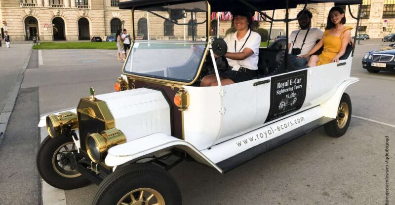 Vienna: Private Electric Car Sightseeing Tour - How This Tour Benefits Travelers