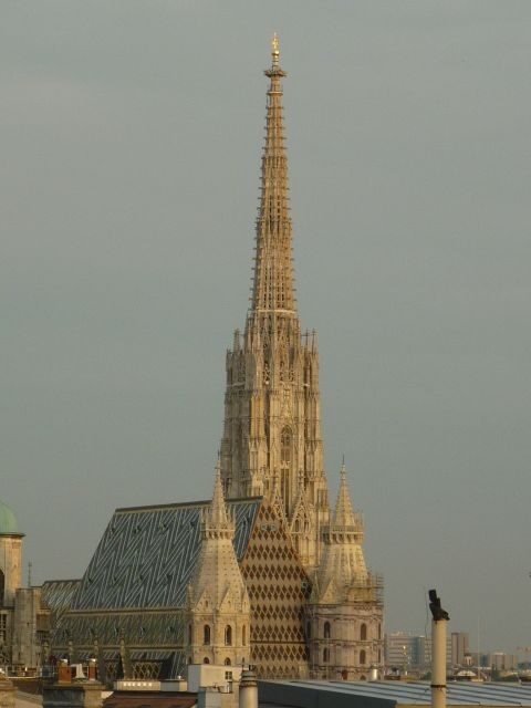 Vienna: Private Walking Tour - Exploring Vienna’s Historic Heart