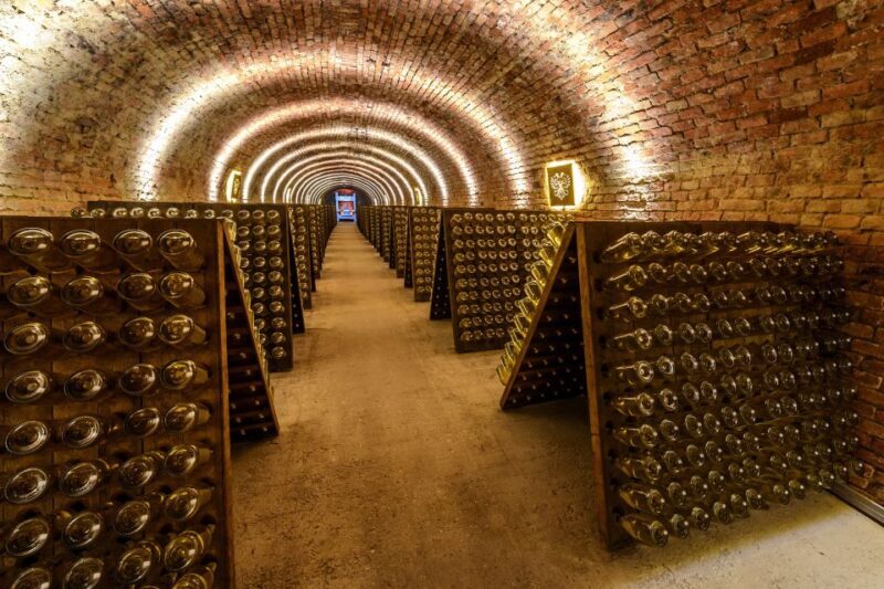 Vienna: Schlumberger Wine Cellar Guided or Self-Guided Tour - Diving Into the Experience
