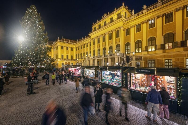 Vienna: Schönbrunn Palace & Christmas Market Walking Tour - Key Points