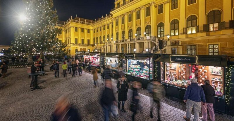 Vienna: Schönbrunn Palace & Christmas Market Walking Tour - An In-Depth Look at the Experience