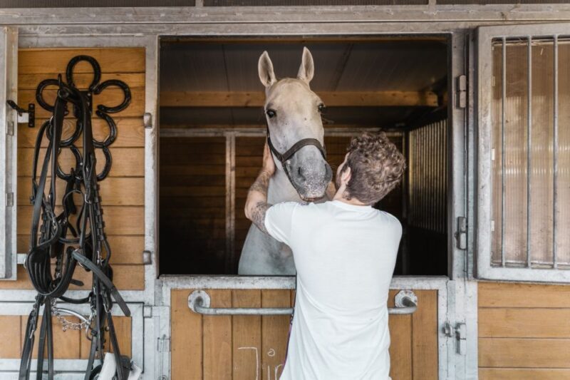 Vienna: Secrets of the Fiaker & Horse-Drawn Carriage Ride - The Sum Up