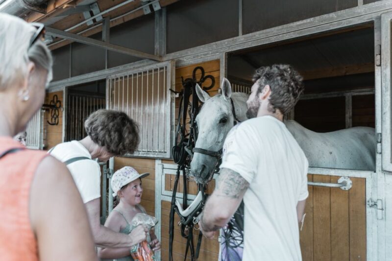 Vienna: Secrets of the Fiaker & Horse-Drawn Carriage Ride - FAQ
