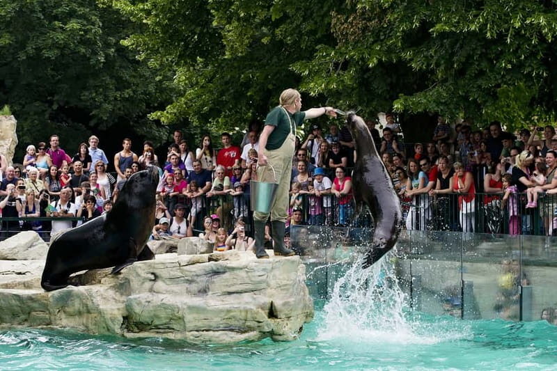 Vienna: Skip-the-line Tickets for Schönbrunn Zoo - An In-Depth Review of Schönbrunn Zoo and What You Can Expect