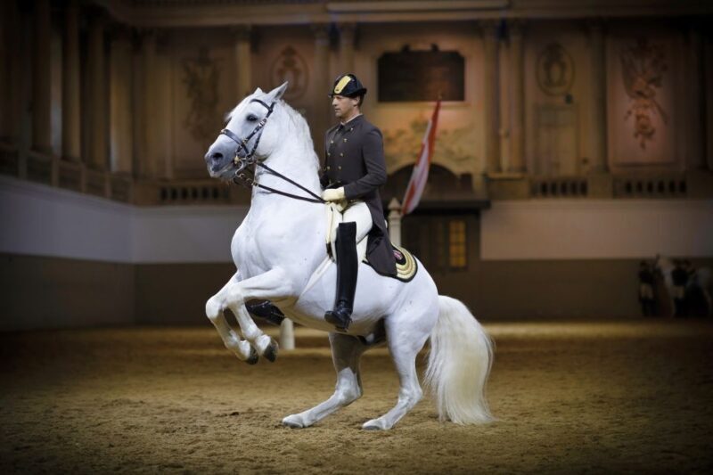Vienna: Spanish Riding School 45-Minute Performance Show - Key Points