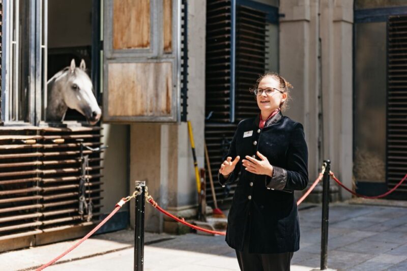 Vienna Spanish Riding School Guided Tour - FAQs