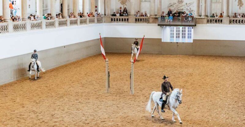 Vienna: Spanish Riding School Training - A Genuine Peek into Vienna’s Equestrian Tradition