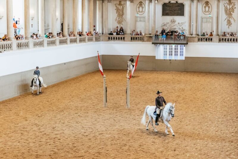 Vienna: Spanish Riding School Training - The Experience’s Pros and Cons