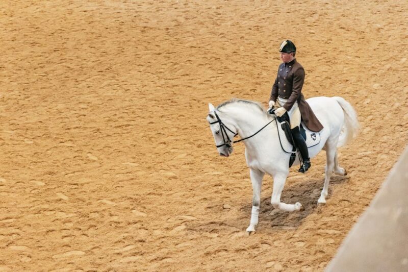 Vienna: Spanish Riding School Training - The Sum Up