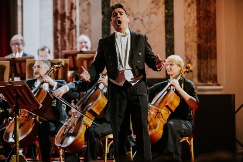 Vienna: Strauss and Mozart Concert at Hofburg Palace - Final Thoughts