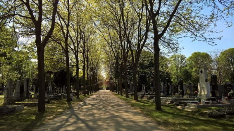 Vienna: Urban Birding  Guided bird watching tour in the big city! - FAQ