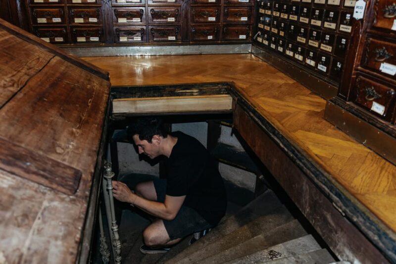 Vienna: Viennese Underworld Guided Walking Tour - Exploring Vienna’s Hidden Basement World