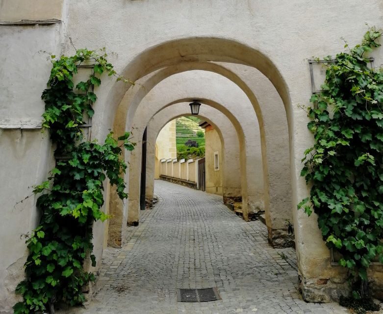 Vienna: Wachau Valley Private Kayak and Wine Tour - The Return Journey