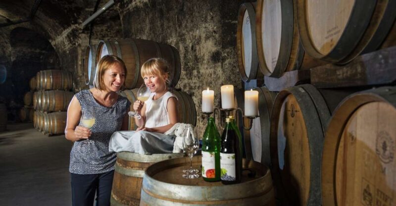 Vienna: Wine Tasting E-Bike Tour - Experience Overview