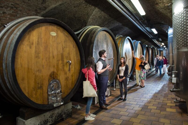 Vienna: Wine Tasting E-Bike Tour - What to Expect