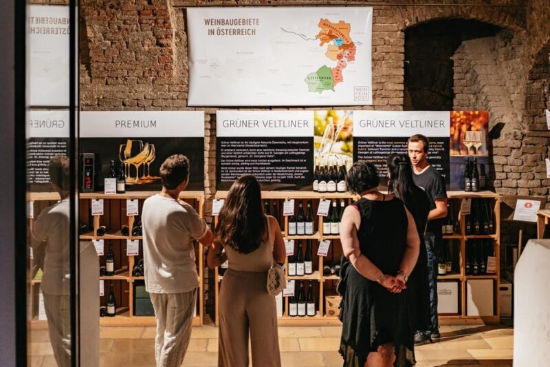 Vienna: Wine Tasting Experience in a Private Wine Cellar - Practical Details: How the Tour Works