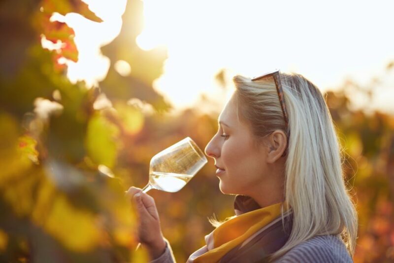 Vienna: Winery and Wine Tasting Tour with a Wine Expert - Vienna: Winery and Wine Tasting Tour with a Wine Expert
