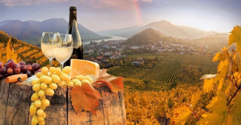 Vienna: Winery and Wine Tasting Tour with a Wine Expert - Key Points