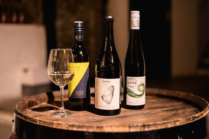 Viennese Wine Tasting in a Private Hidden Wine Cellar - A Unique Wine Experience in Vienna’s Hidden Cellar