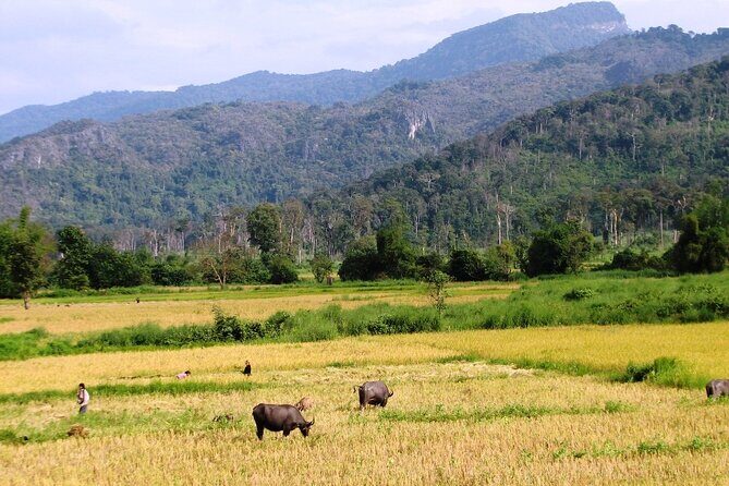 Vientiane Day Trip By Bike To Tad Moon Waterfall - Key Points