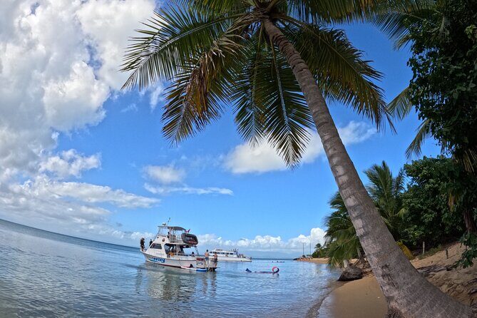 Vieques All-Inclusive: Swim with Turtles & Enjoy Pristine Beaches - The Experience: A Deep Dive into What You Can Expect
