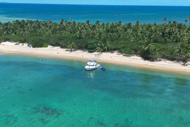 Vieques All-Inclusive: Swim with Turtles & Enjoy Pristine Beaches - The Sum Up: Who Should Consider This Tour?