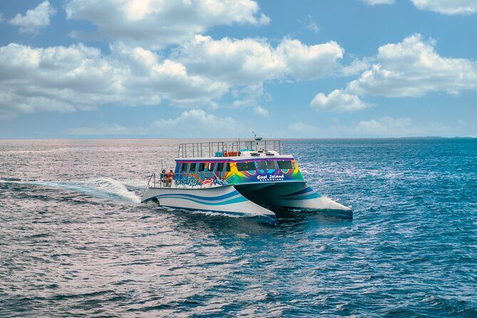 Vieques: Beach and Snorkeling Tour by Catamaran from Fajardo - Why This Tour Works for You