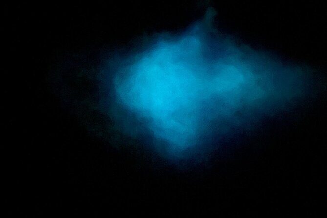 Vieques Bio Bay Tour and Beach Day Trip from San Juan by Ferry - The Experience in Detail