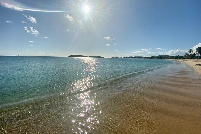 Vieques Bio Bay Tour and Beach Day Trip from San Juan by Ferry - Is This Tour Worth It?