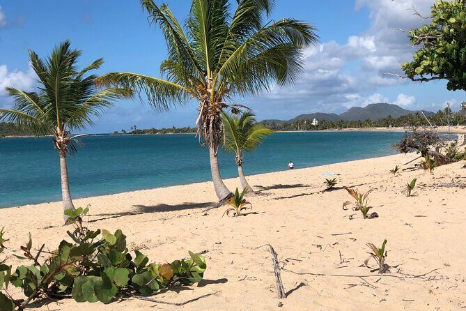 Vieques Island Rich History Tour - Who this tour is best suited for