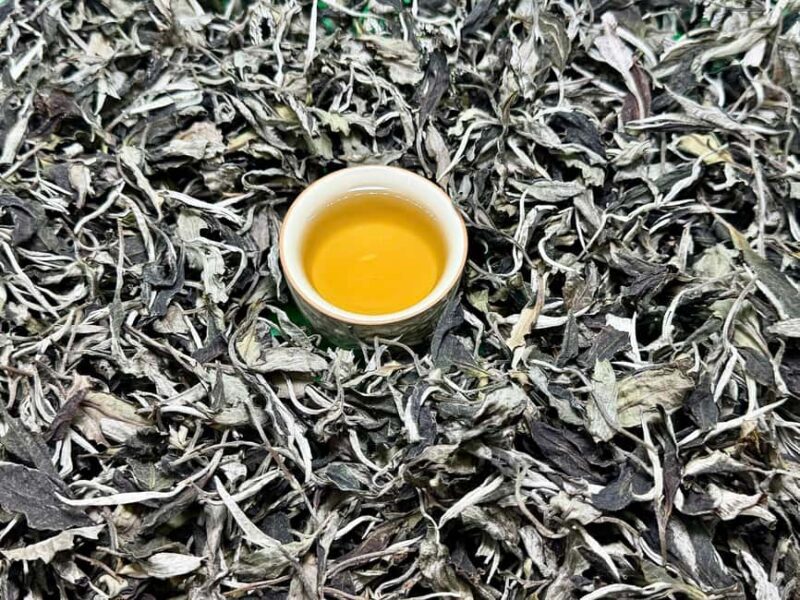 Vietnam Tea Tasting & Train Street & Lunch (Buncha & Banhmi) - Key Points