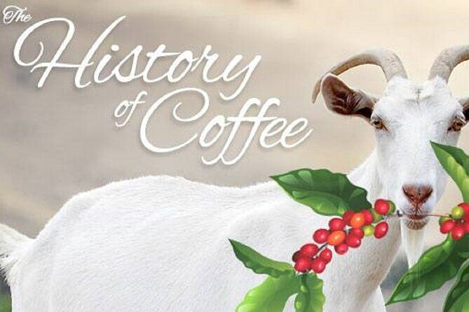 Vietnamese Culture and Coffee Making Class - Final Thoughts