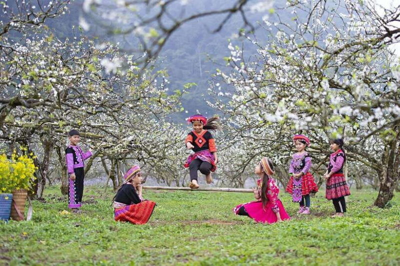 Vietnams Highlights in 15 Days: North to South by Air - The Sum Up