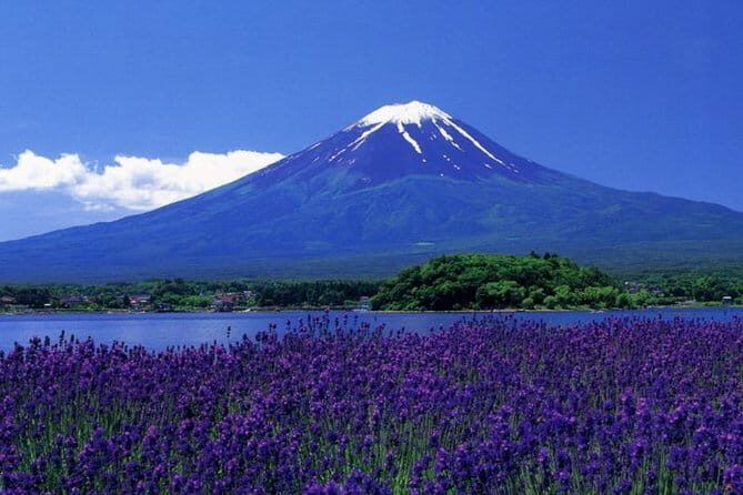 View of Mt. Fuji is good! Sushi making experience class - Who Should Consider This Tour?