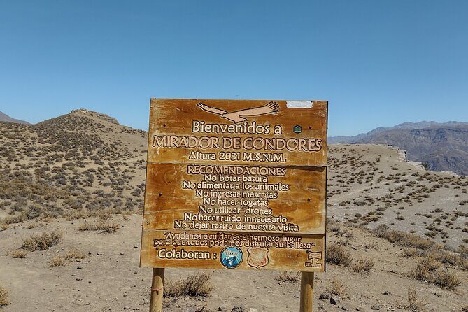 Viewpoint of Condors Cajón del Maipo - Discover the Majestic Condors at Cajón del Maipo