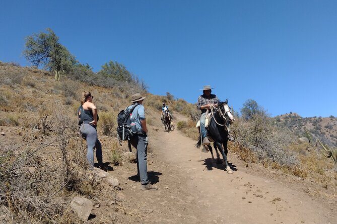 Viewpoint of Condors Cajón del Maipo - Key Points