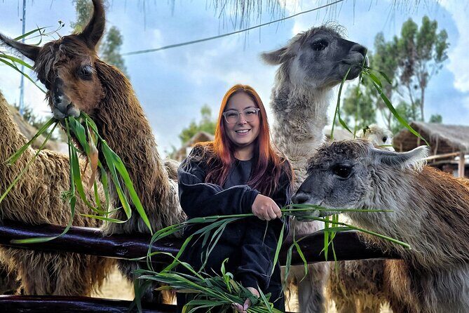 Viewpoints and Streets Tour of Cusco Photo Tour - Key Points