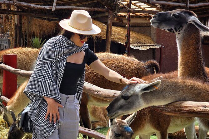 Viewpoints and Streets Tour of Cusco Photo Tour - Transportation and Group Size
