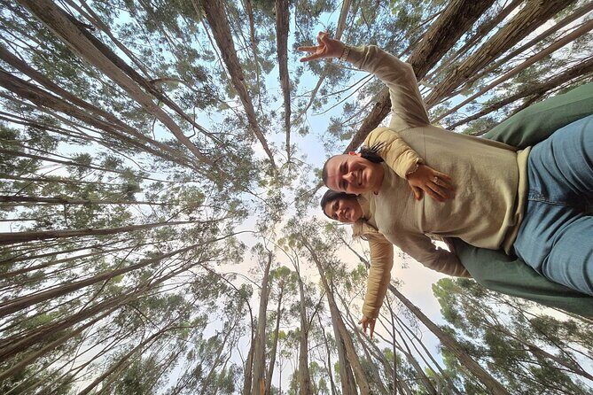 Viewpoints and Streets Tour of Cusco Photo Tour - Who Will Enjoy This Tour?