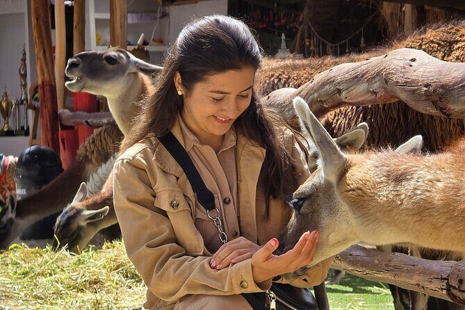 Viewpoints and Streets Tour of Cusco Photo Tour - Final thoughts
