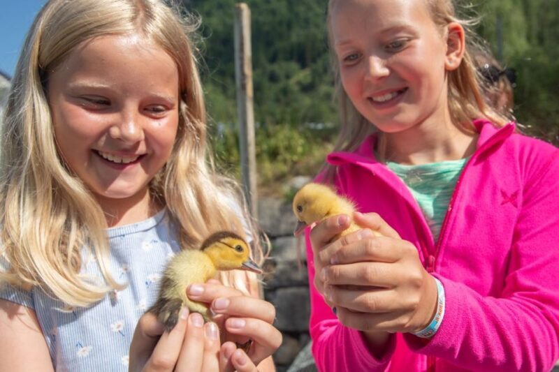 Vik i Sogn: Authentic Farm Visit - Key Points