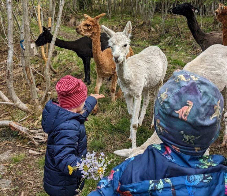 Vik i Sogn: Authentic Farm Visit - An In-Depth Look at the Farm Visit Experience