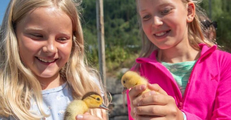 Vik i Sogn: Authentic Farm Visit - Final Thoughts